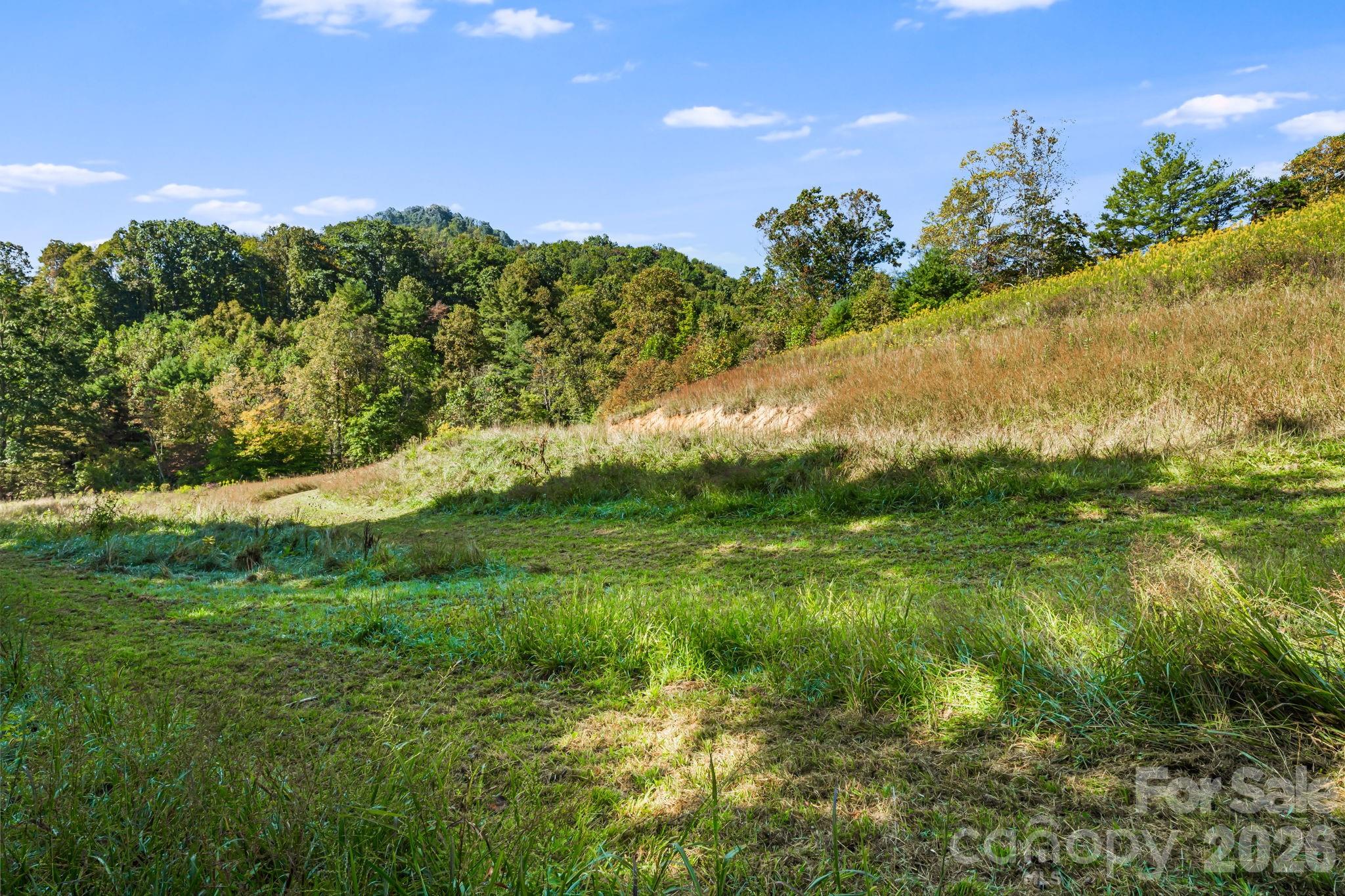 456 Maney Branch Road Burnsville, NC 28714 - Photo 27 of 40