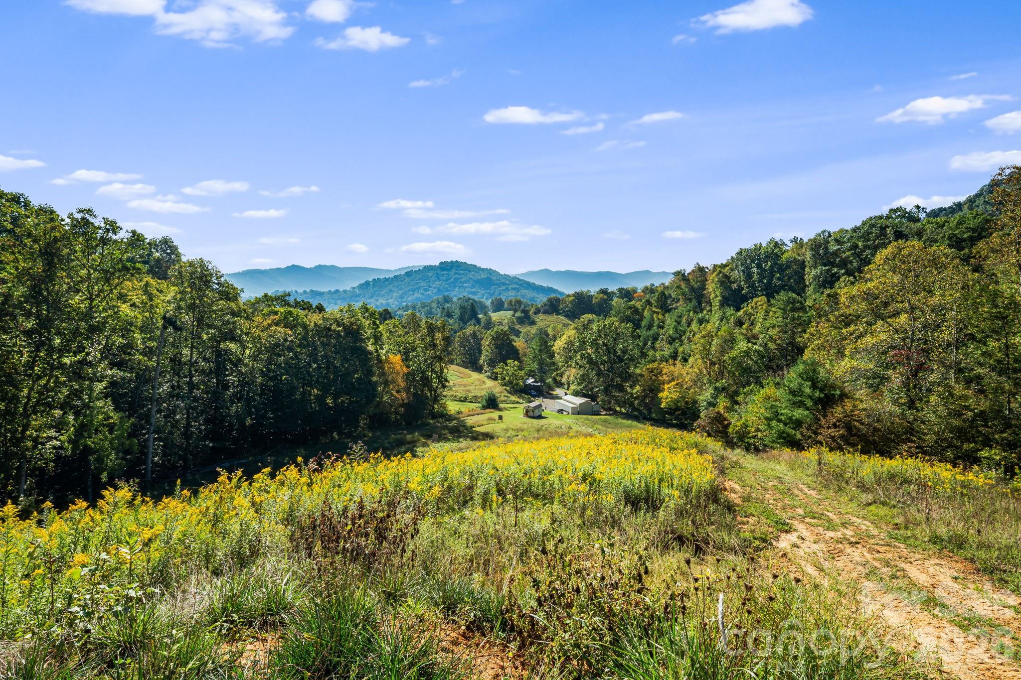 456 Maney Branch Road Burnsville, NC 28714 - Photo 28 of 40