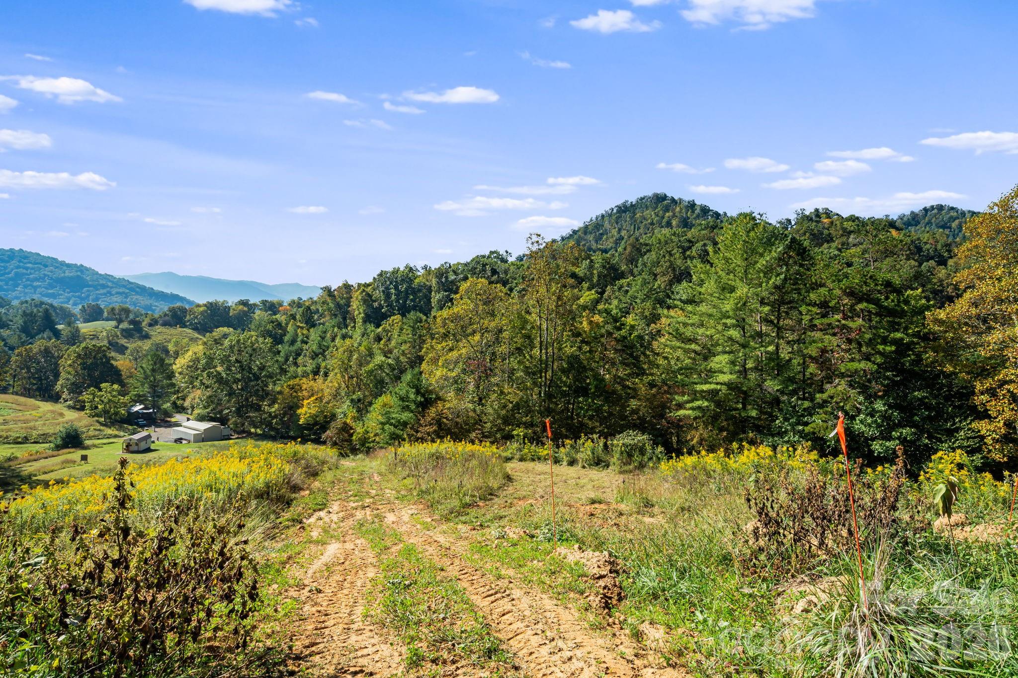 456 Maney Branch Road Burnsville, NC 28714 - Photo 31 of 40