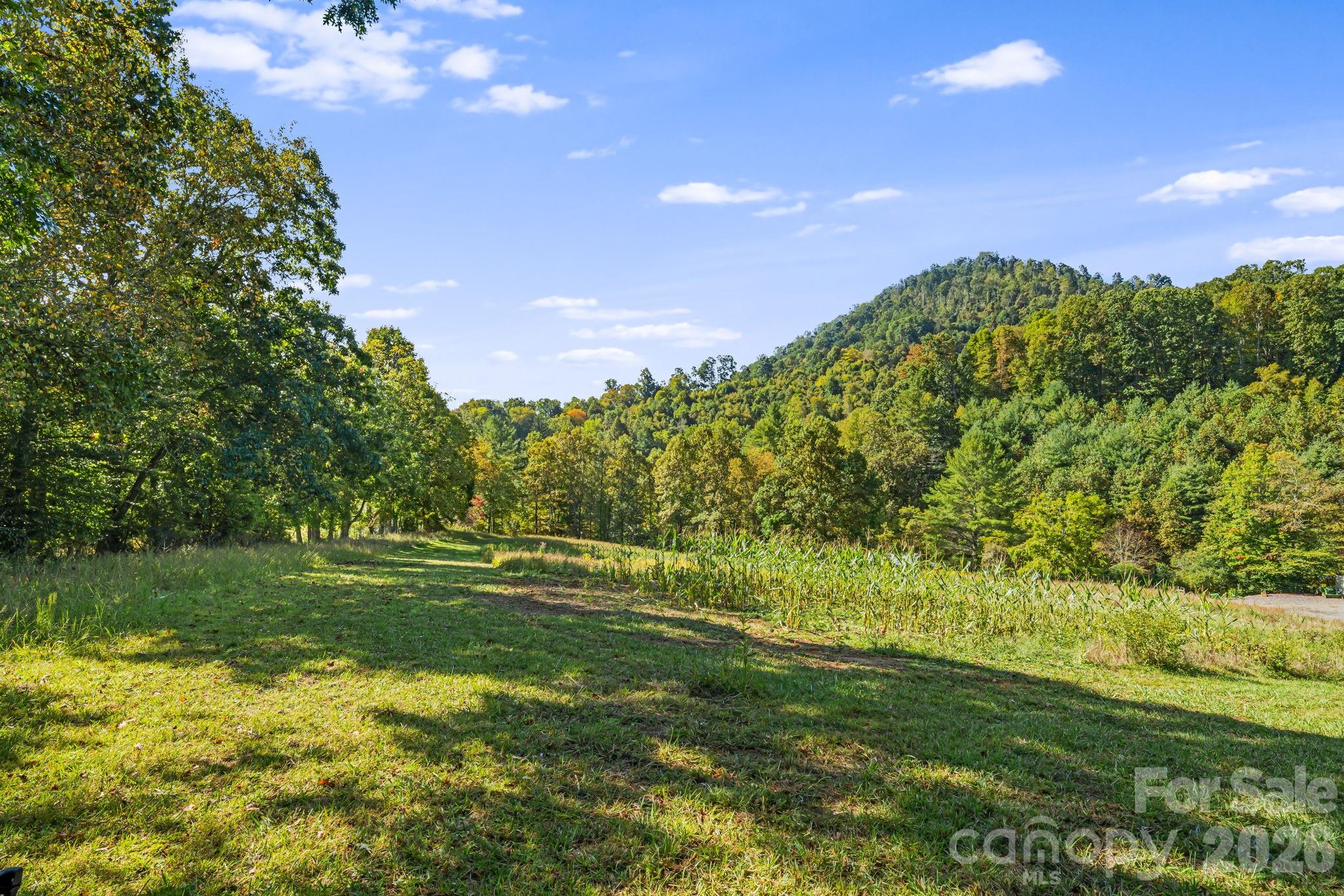 456 Maney Branch Road Burnsville, NC 28714 - Photo 34 of 40