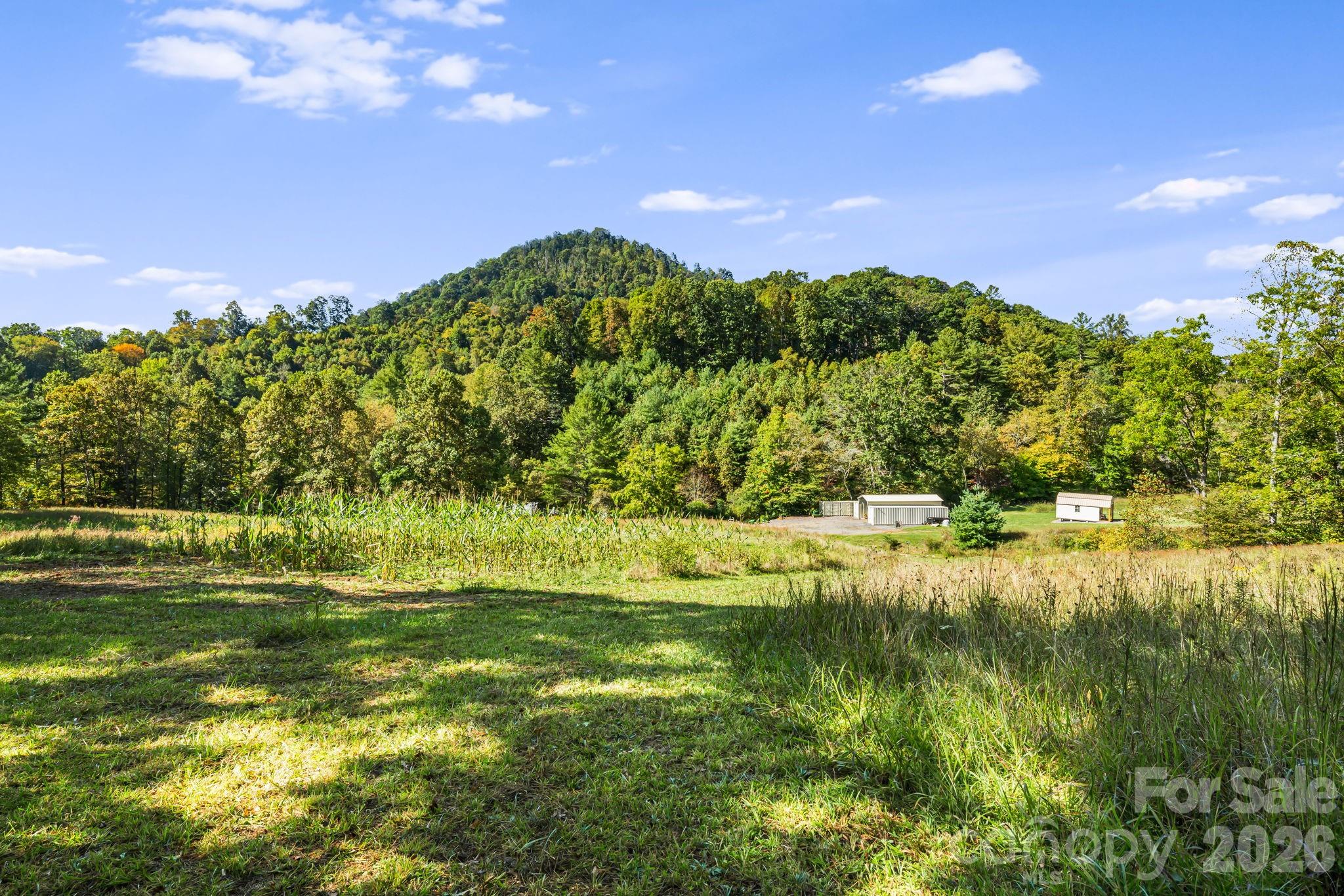456 Maney Branch Road Burnsville, NC 28714 - Photo 35 of 40