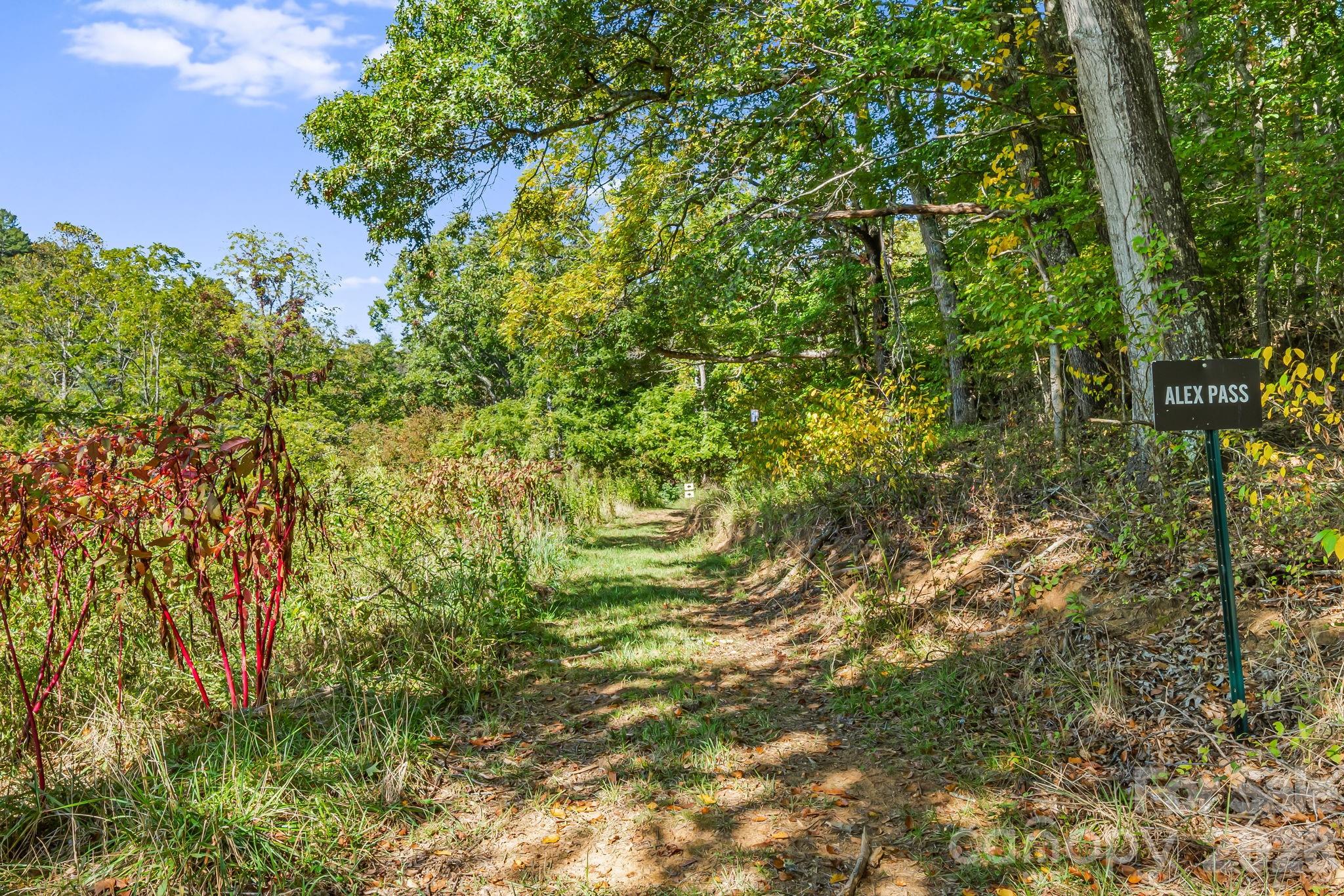 456 Maney Branch Road Burnsville, NC 28714 - Photo 36 of 40
