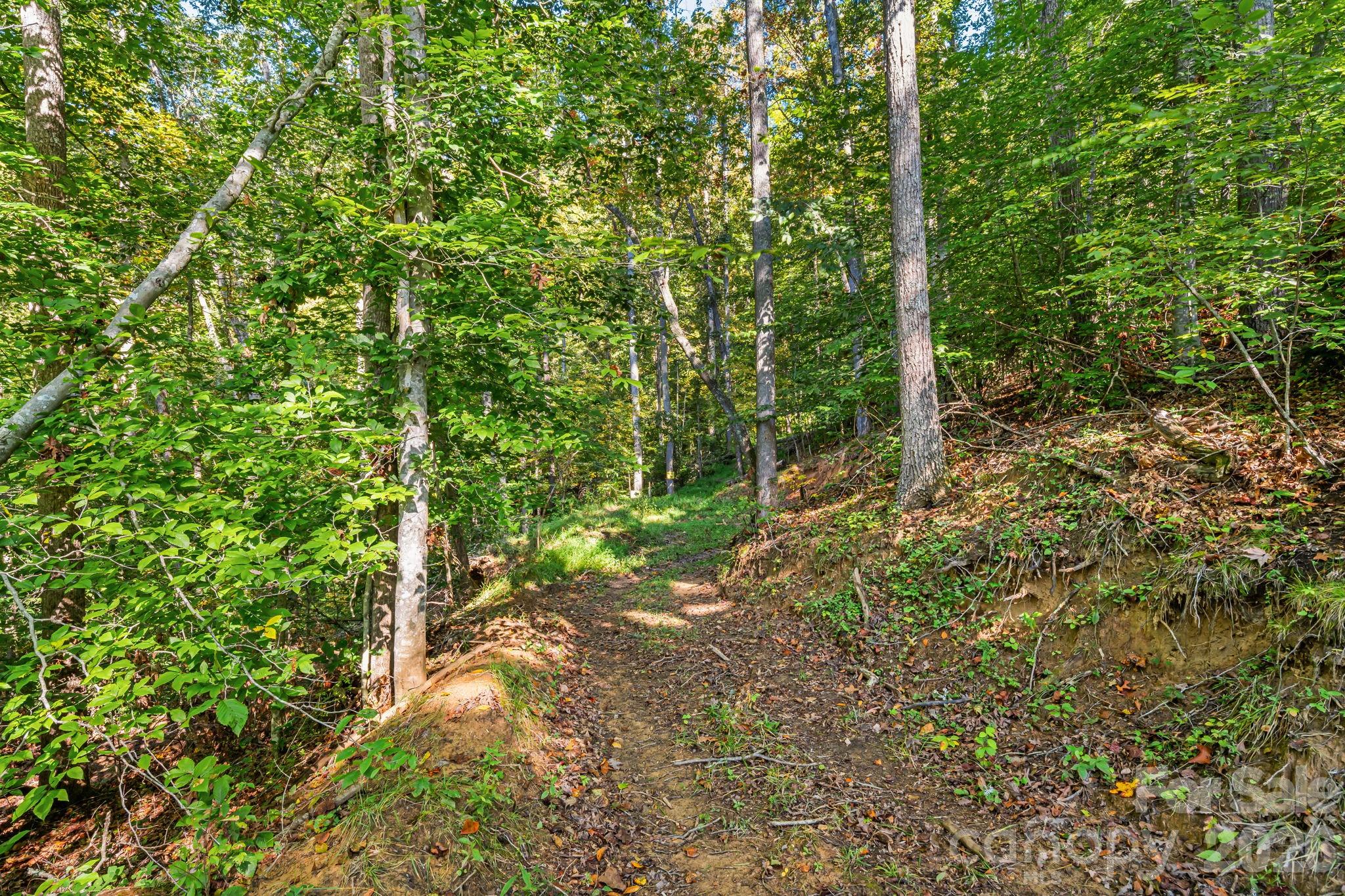 456 Maney Branch Road Burnsville, NC 28714 - Photo 38 of 40