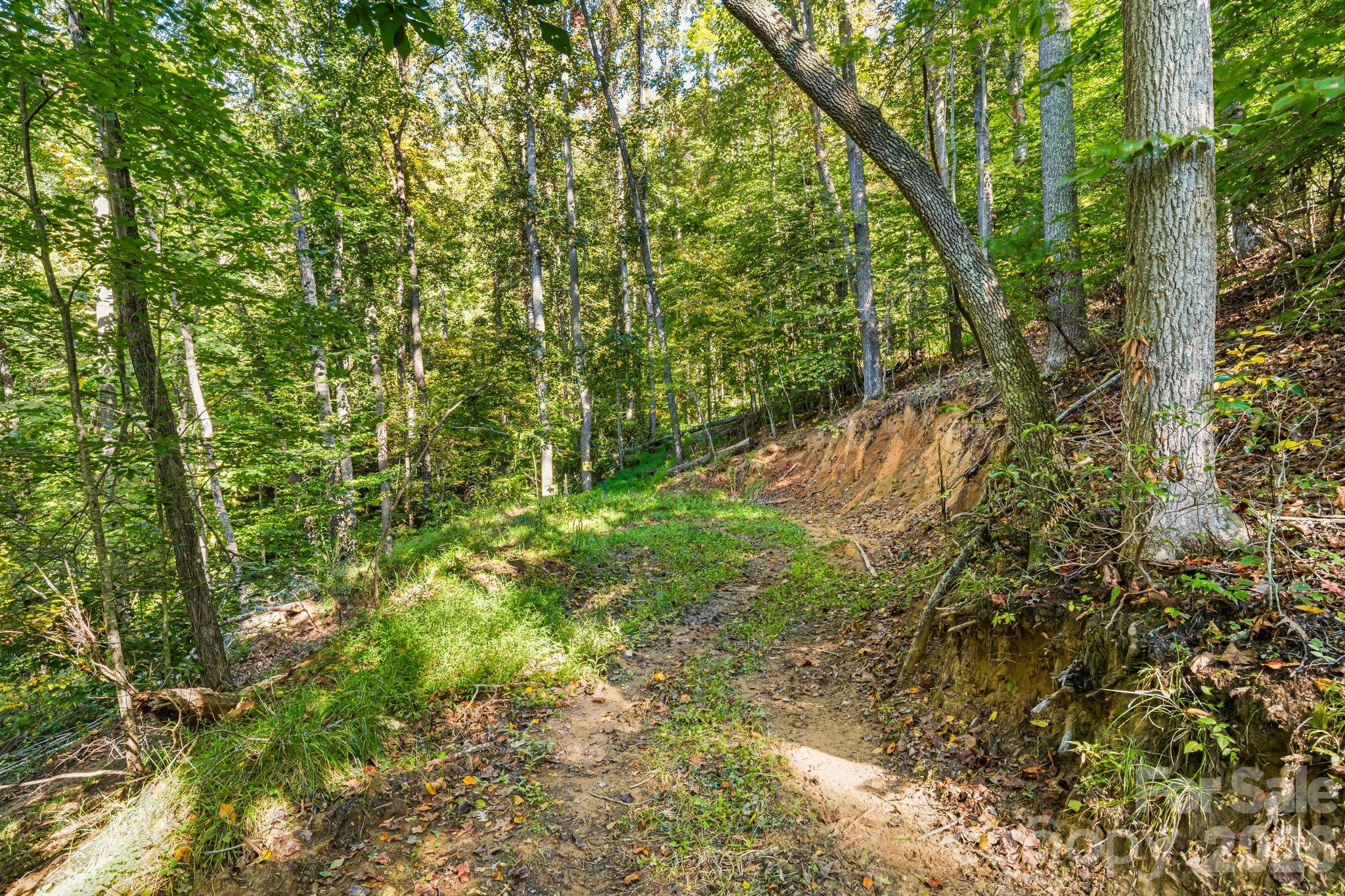 456 Maney Branch Road Burnsville, NC 28714 - Photo 39 of 40