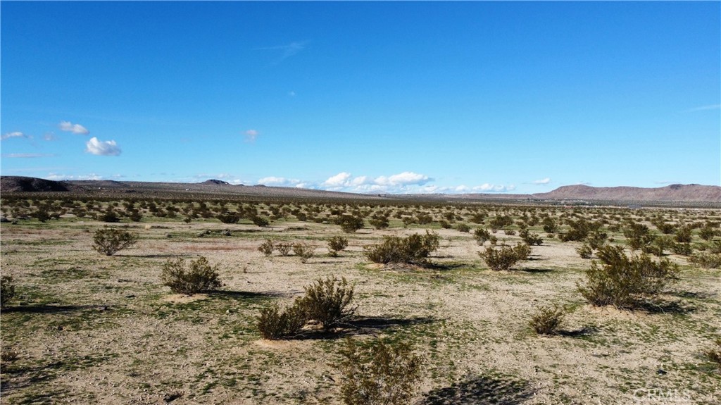 5 Sunflower Road Joshua Tree, CA 92252 - Photo 10 of 15 a view of a large body of water with lots of trees in the background