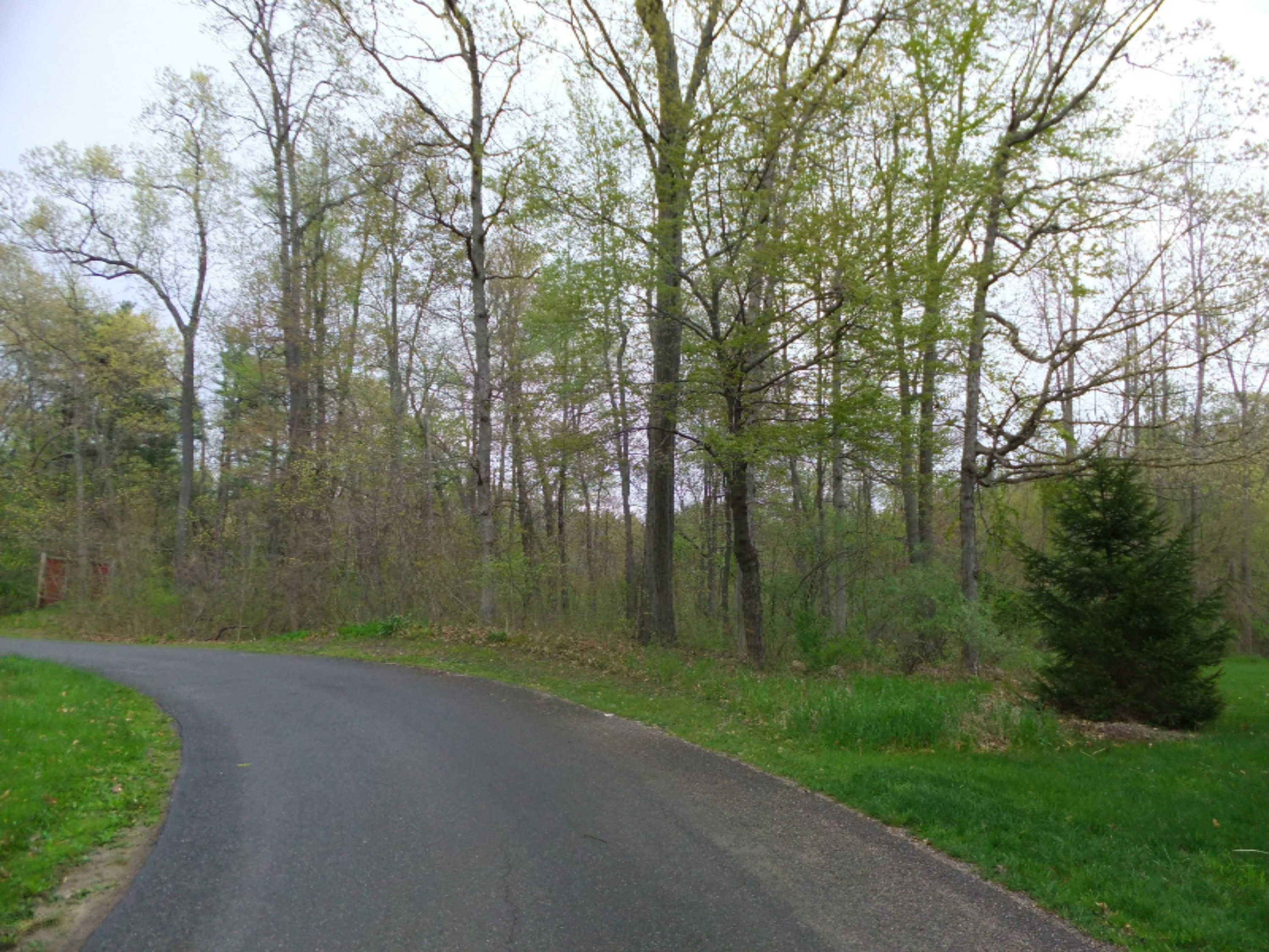 Gun Lake Road, Unit 1 Middleville, MI 49333 - Photo 1 of 3 DSCF2651