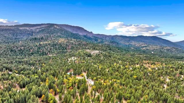 $695,000 | 461-255 Janesville Grade, Janesville, CA 96114