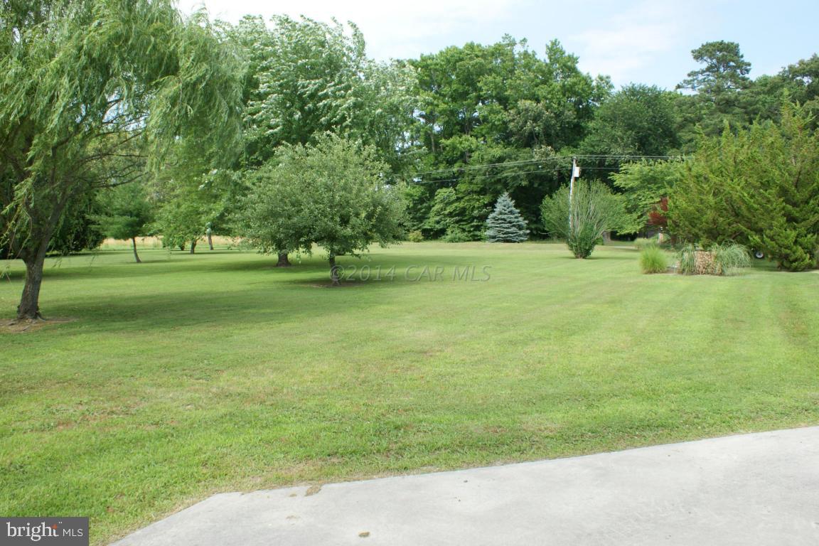 6349 Basket Switch Road Newark, MD 21841 - Photo 11 of 43