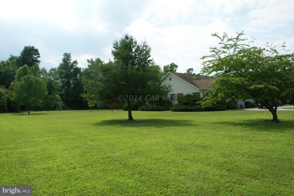 6349 Basket Switch Road Newark, MD 21841 - Photo 19 of 43