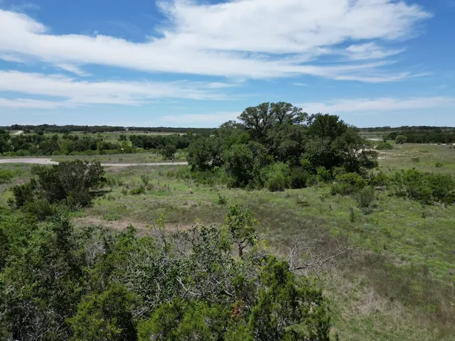 a view of a green field with lots of bushes