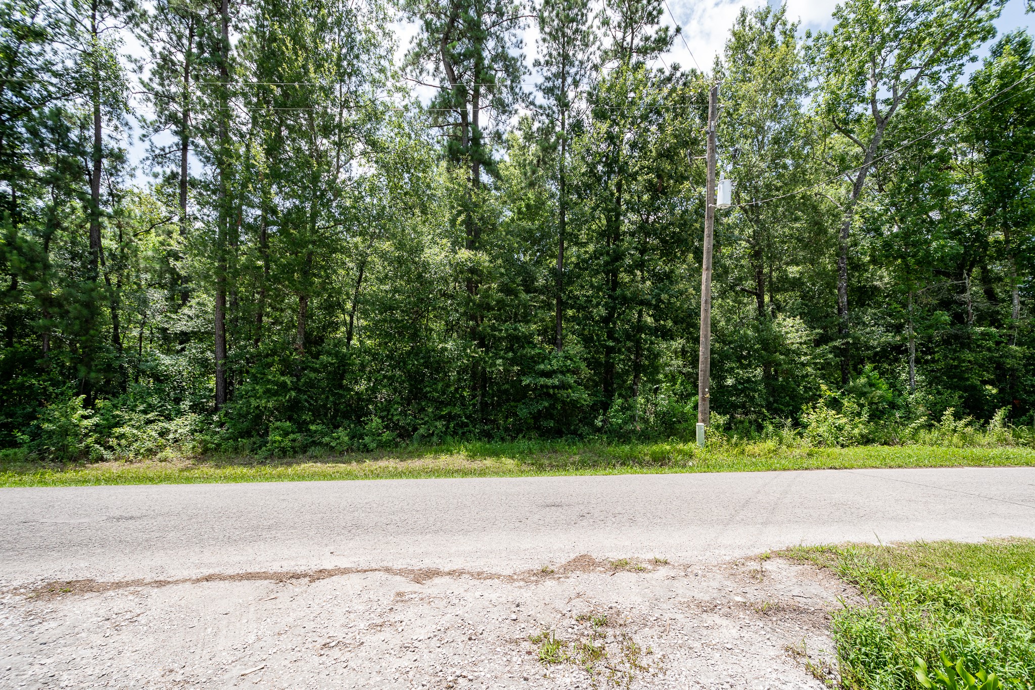 0 Lazy S Street Splendora, TX 77372 - Photo 4 of 6 a view of a yard with plants