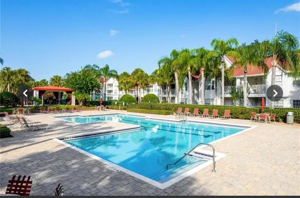 a view of a swimming pool with palm trees