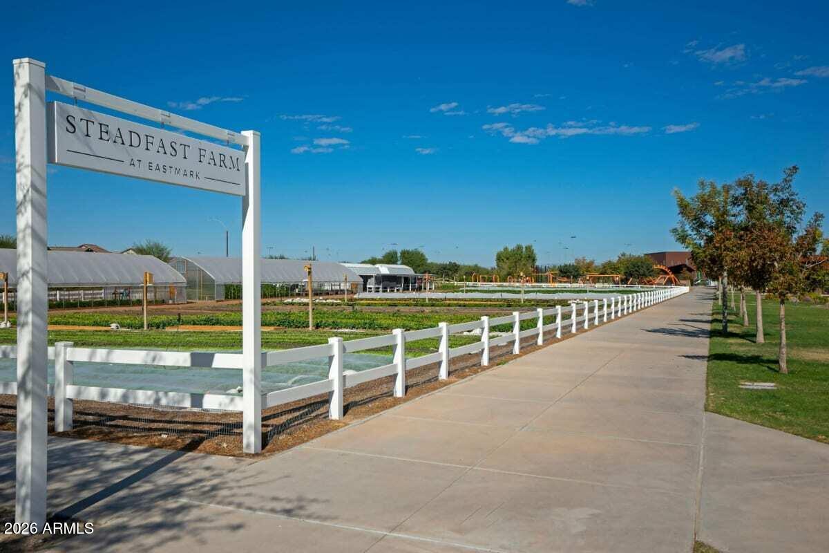 4724 Rhodium Lane Mesa, AZ 85212 - Photo 91 of 91 Farm