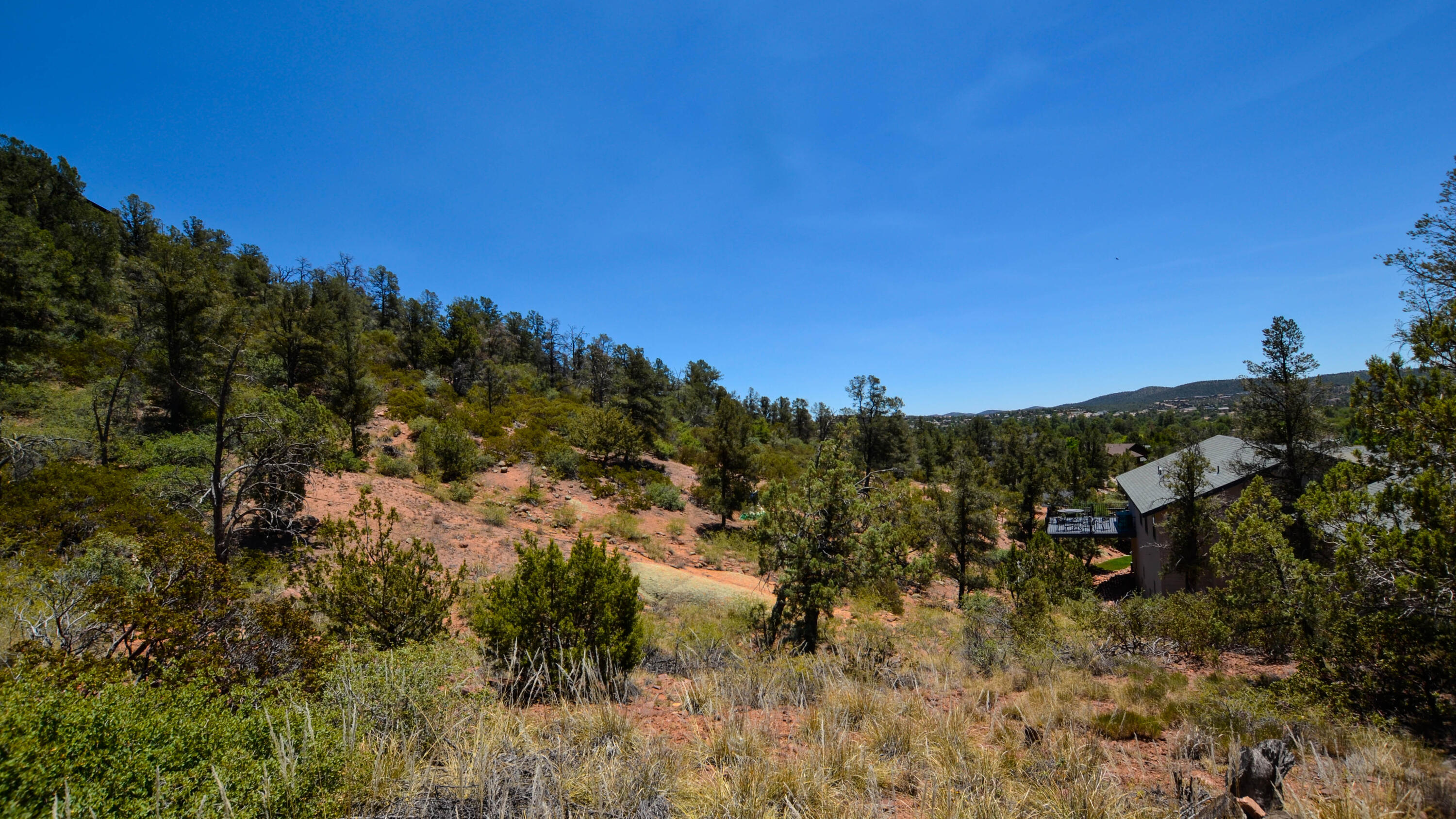 807 Thunder Ridge Circle Payson, AZ 85541 - Photo 8 of 11 a view of a bunch of trees in a field
