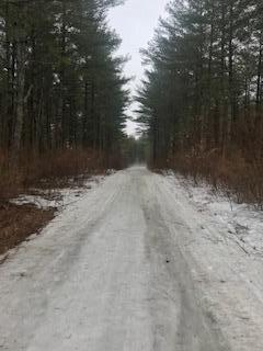 18 Embden Pond Road North Anson, ME 04958 - Photo 5 of 5 IMG_5002