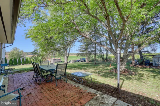 a backyard of a house with plants and large tree