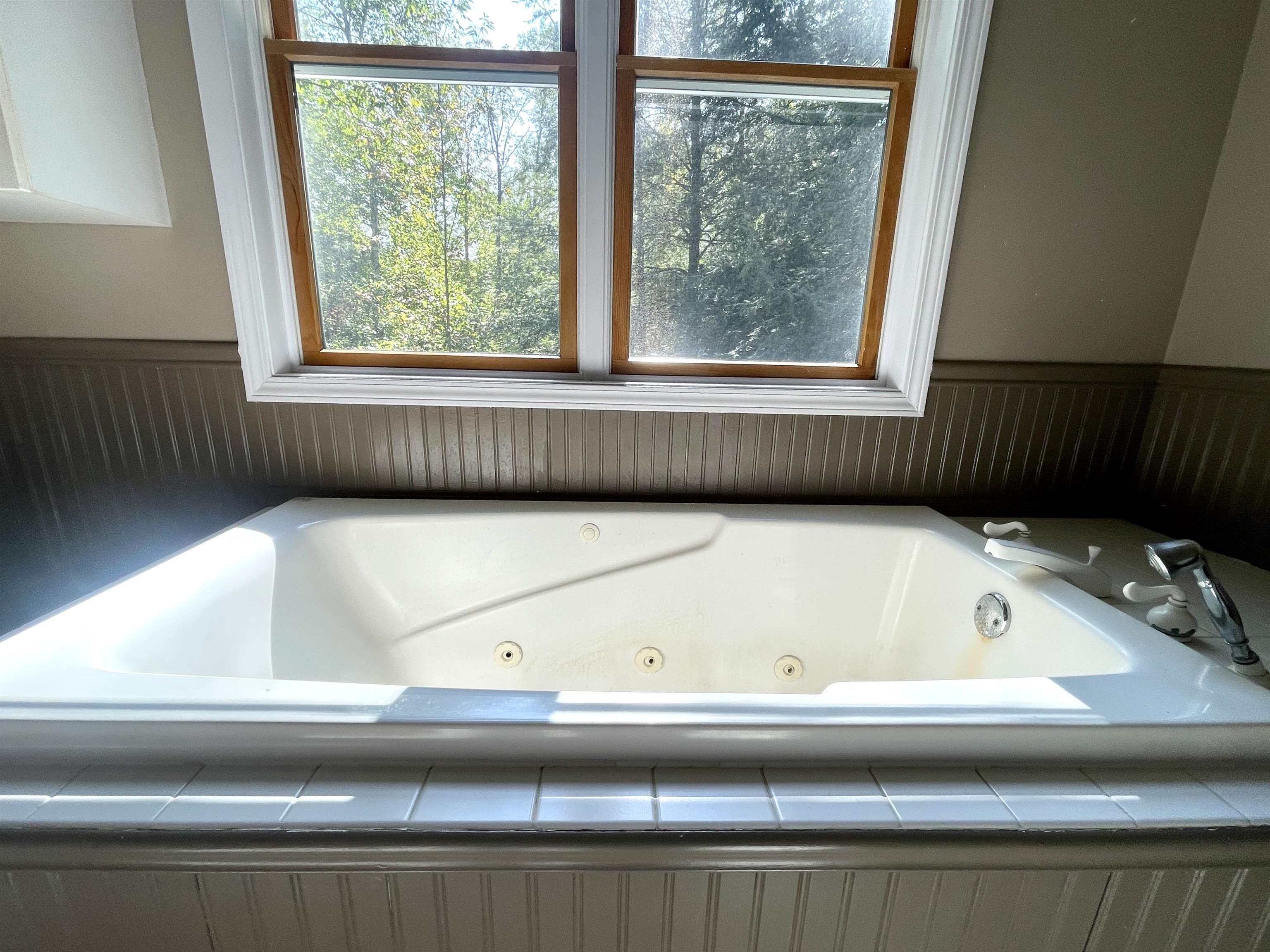 3200 Shock Road Beaverton, MI 48612 - Photo 54 of 69