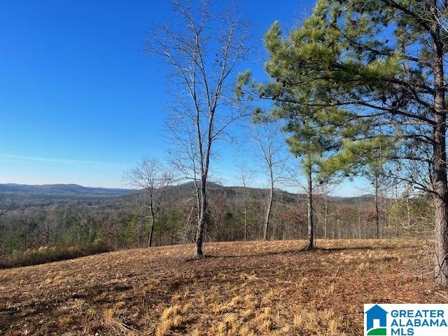 Tablee Lane, Unit 17 65 Ashland, AL 36251 - Photo 3 of 7