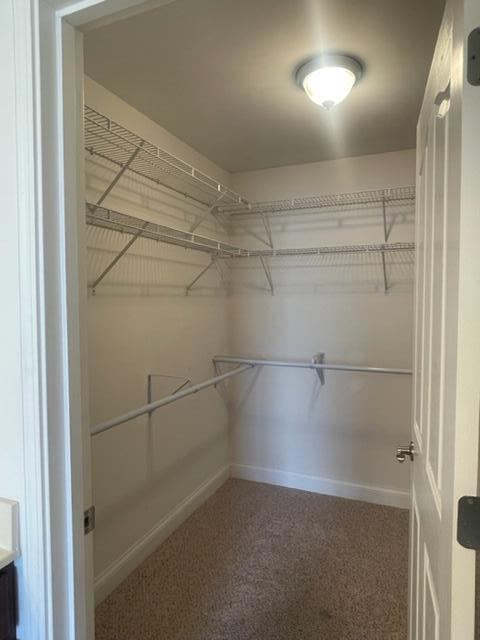 376 Villa View Point Johnson City, TN 37604 - Photo 29 of 29 Walk-in closet
