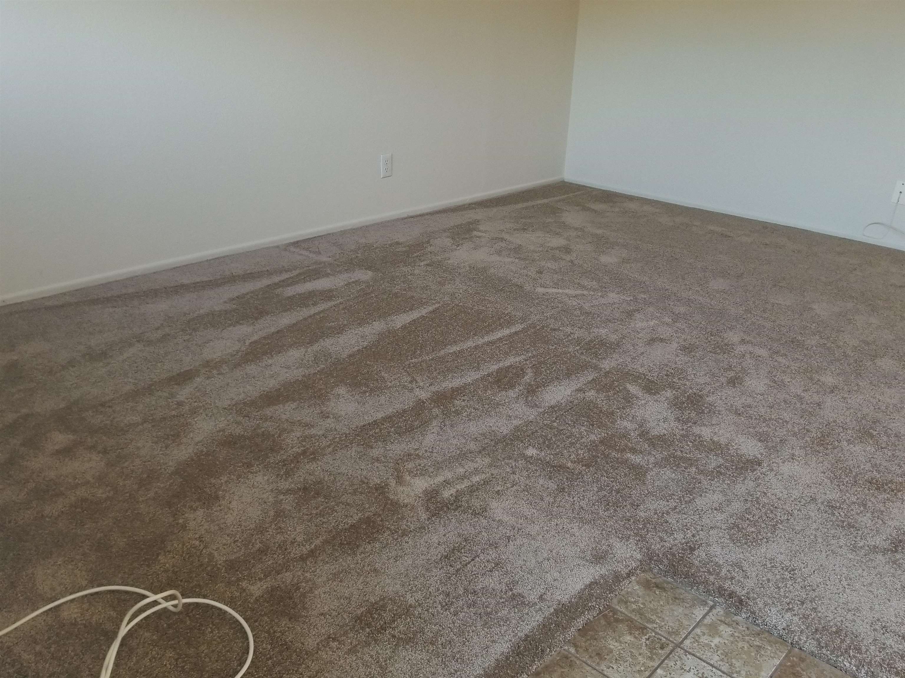 1738 Fourth Street Livermore, CA 94550 - Photo 3 of 17