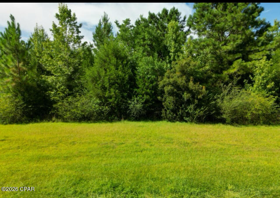 7 Shepp Drive Chipley, FL 32428 - Photo 6 of 9