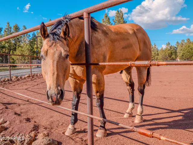 $1,750,000 | 9233 Outlaw Lane, Pinetop, AZ 85935