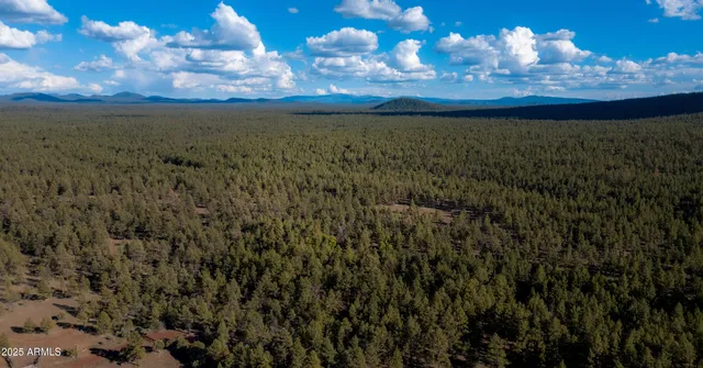 $1,750,000 | 9233 Outlaw Lane, Pinetop, AZ 85935
