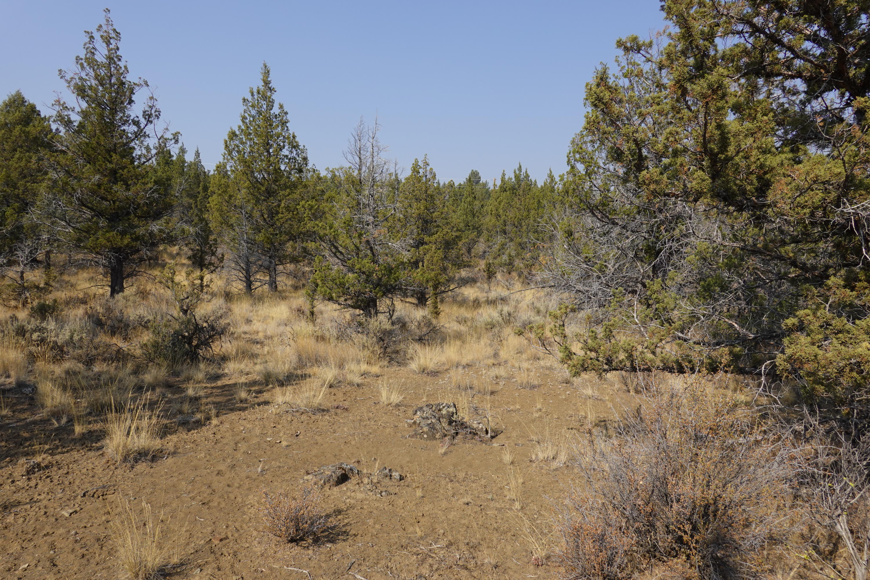 0 Southeast Dead End Road Prineville, OR 97754 - Photo 27 of 32 DSC00117