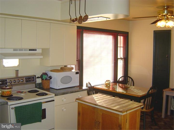 813 Cameron Street Shillington, PA 19607 - Photo 3 of 14 Kitchen