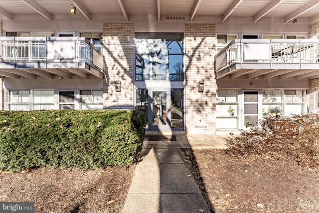a view of a water fountain