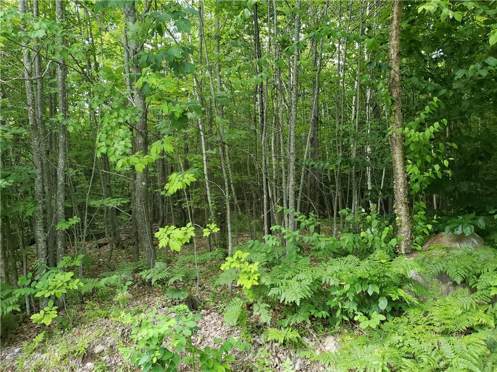 Mapr8-lot6 Town Farm Road Hartford, ME 04220 - Photo 2 of 7 Photo