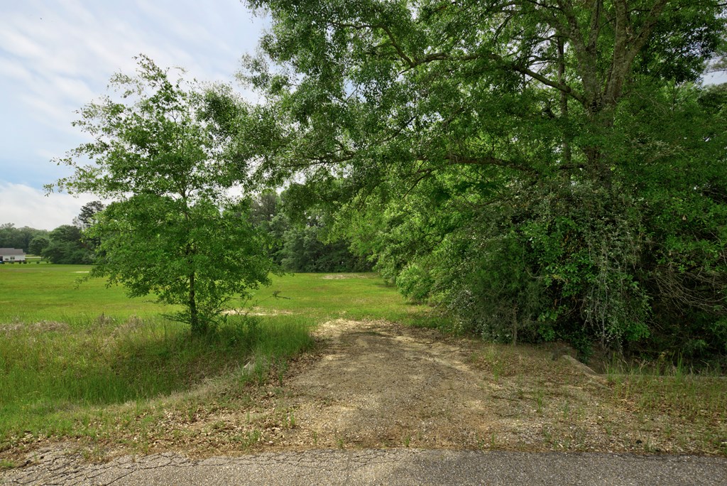 Lot 1 McCord Road Dothan, AL 36301 - Photo 2 of 10