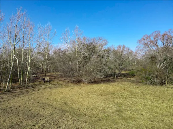 an aerial view of a yard