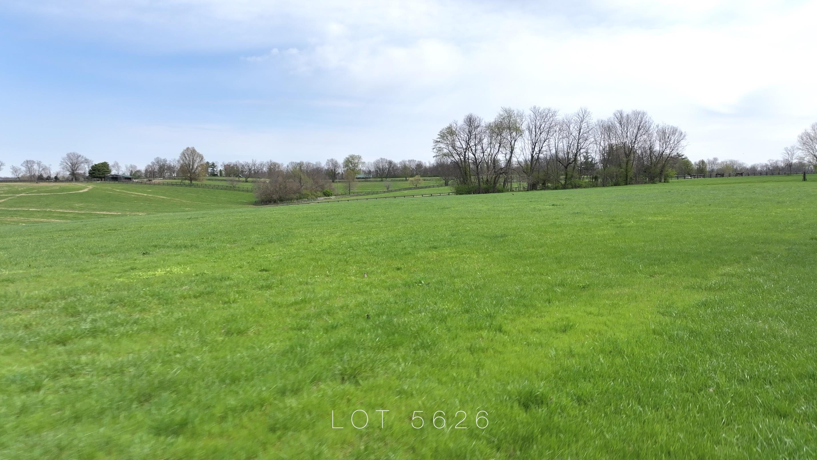 5626 McCowans Ferry Road Versailles, KY 40383 - Photo 8 of 9 8