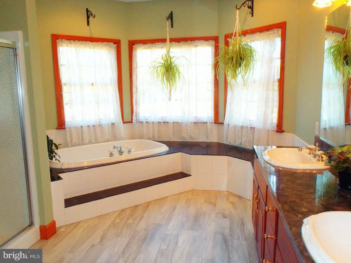 241 School Road Myerstown, PA 17067 - Photo 14 of 25 Master Bathroom