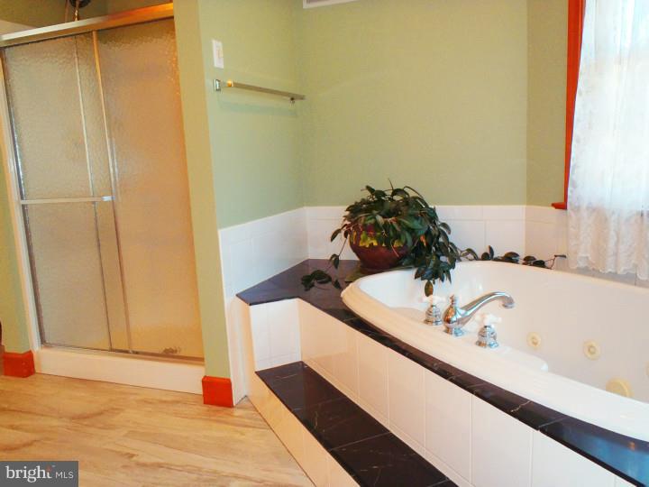 241 School Road Myerstown, PA 17067 - Photo 15 of 25 Master Bathroom