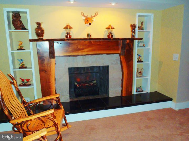 241 School Road Myerstown, PA 17067 - Photo 19 of 25 Basement - Finished