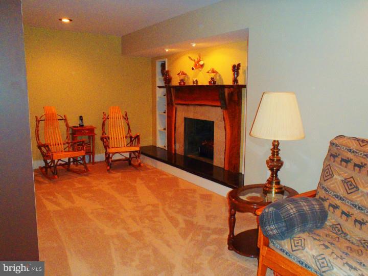 241 School Road Myerstown, PA 17067 - Photo 21 of 25 Basement - Finished