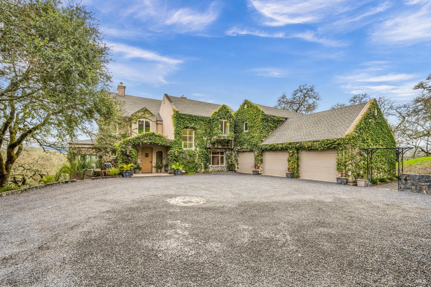 a view of a house with a yard and potted plants