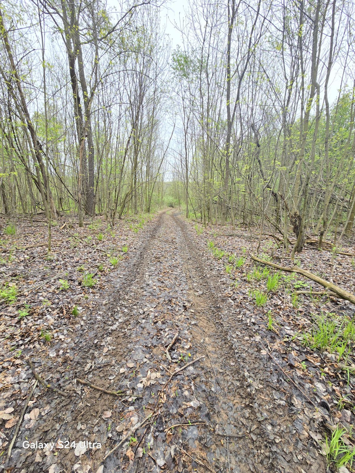 10559 Millbrook Road Blanchard, MI 49310 - Photo 38 of 99