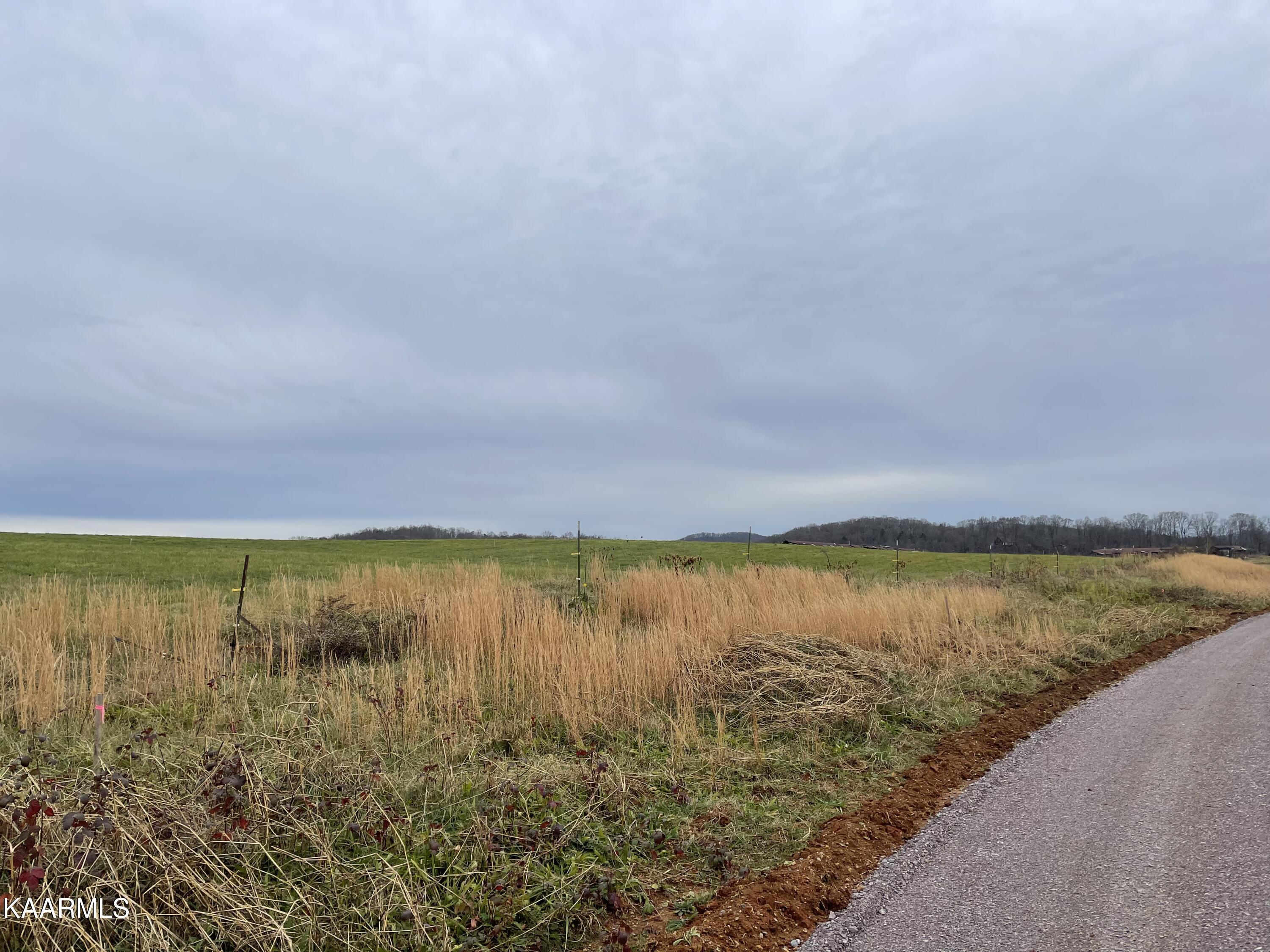 Lot 82 Howell River Road Rutledge, TN 37861 - Photo 2 of 3 IMG_4097