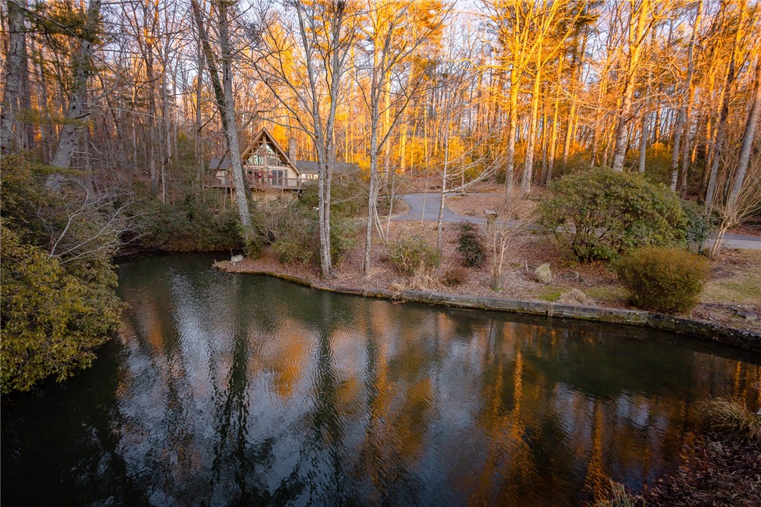 110 Wren Road Mountain Rest, SC 29664 - Photo 3 of 43 Gallery Image 3