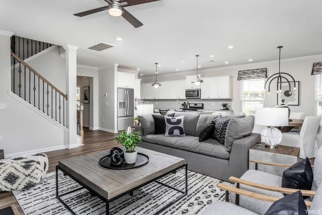 a living room with furniture potted plant and a rug
