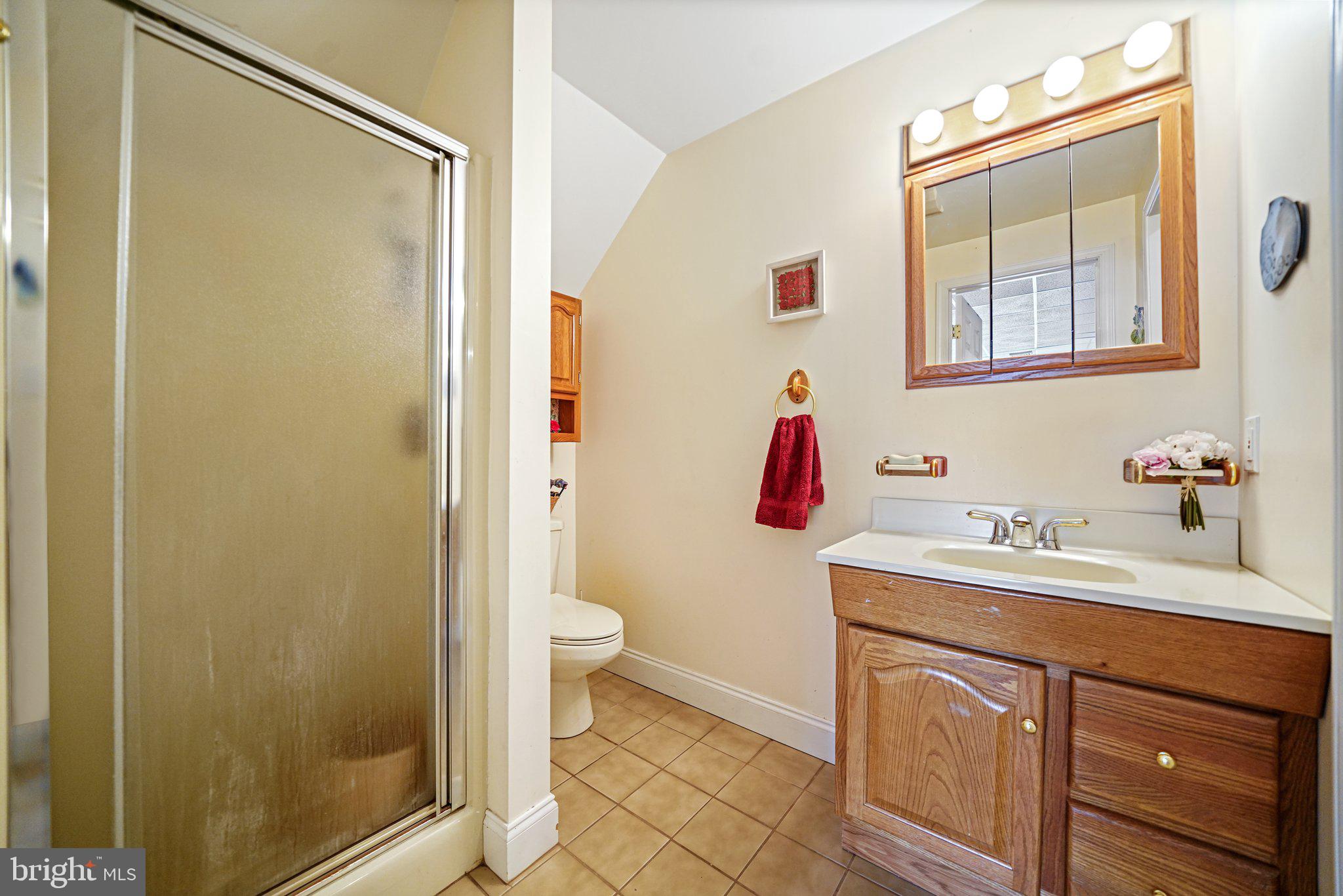 14 Clover Mill Lane Malvern, PA 19355 - Photo 54 of 93 Basement Bathroom