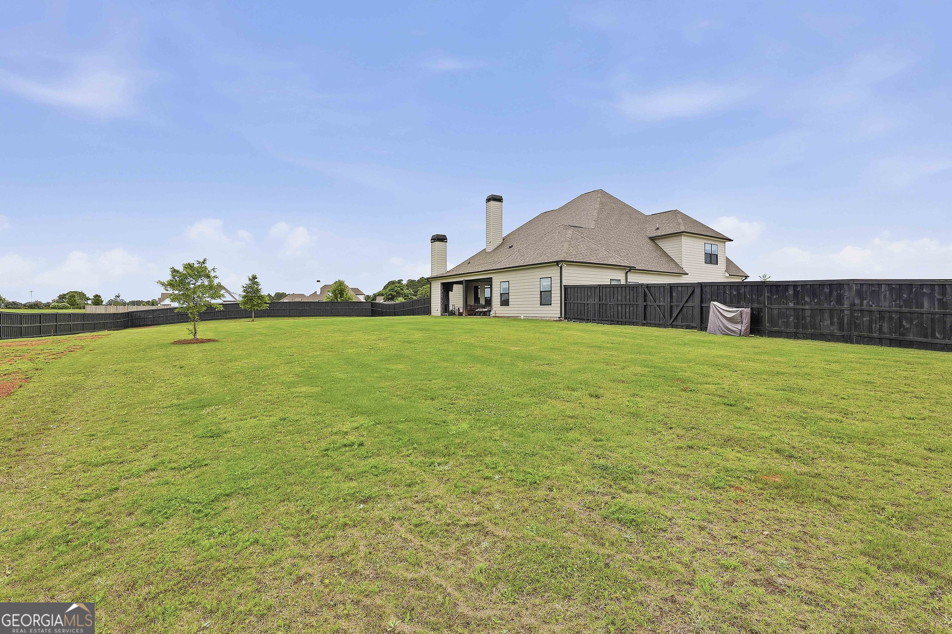 43 Sumner Way Senoia, GA 30276 - Photo 50 of 61