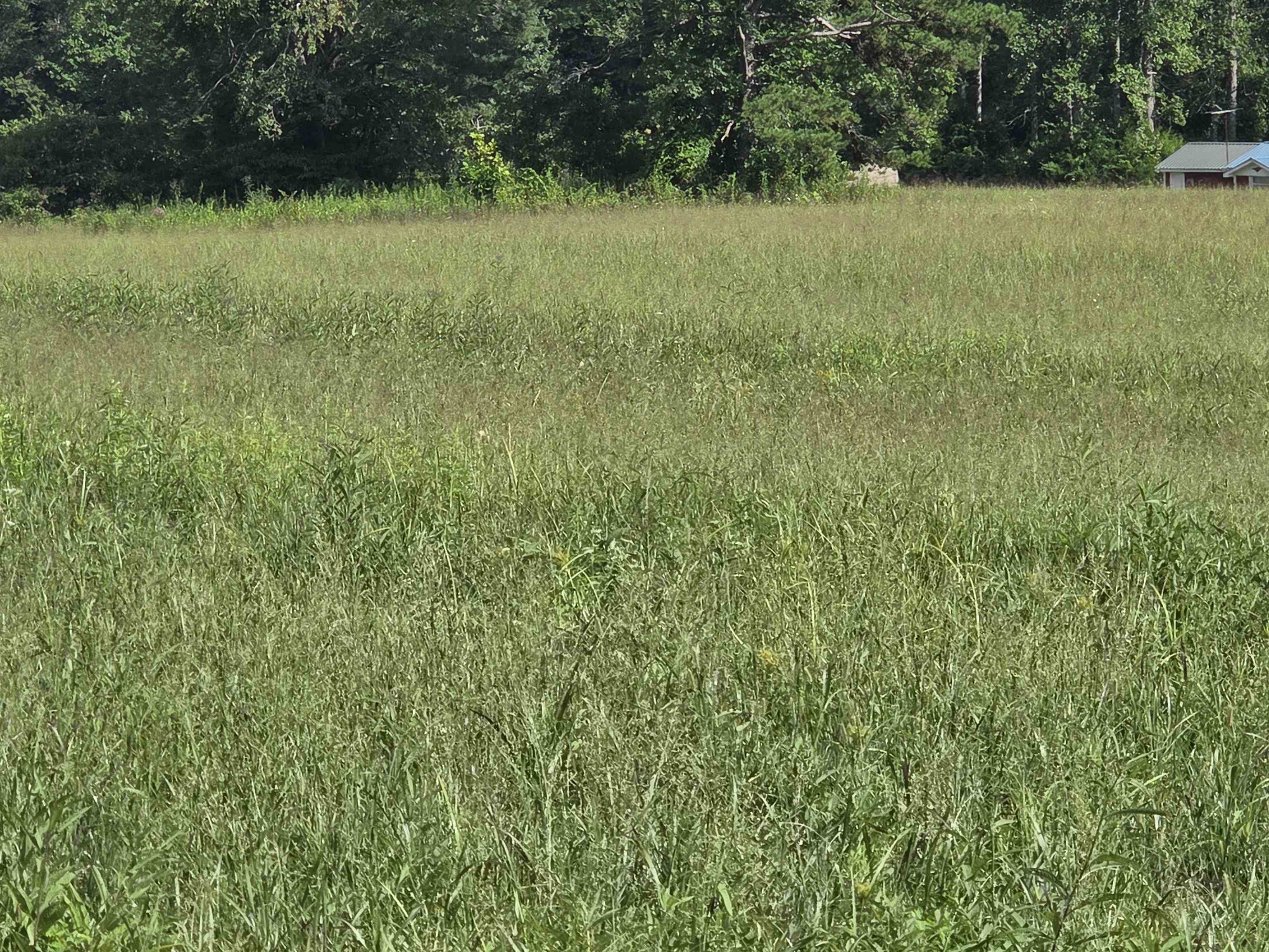 0 Tar Fork Road Vanceburg, KY 41179 - Photo 18 of 33 Gallery Image 18