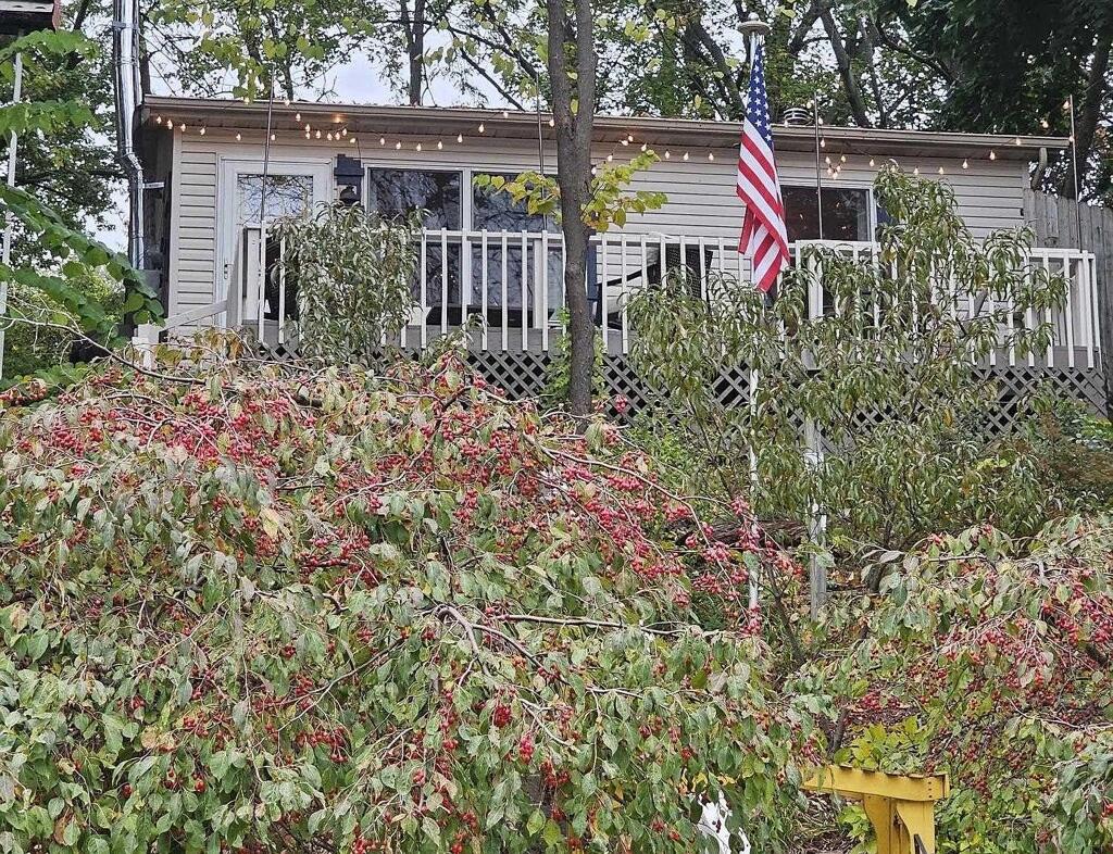 501 Knapp Road Brooklyn, MI 49230 - Photo 1 of 51 Pic