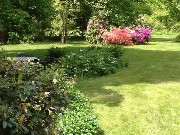 212 South Road Pepperell, MA 01463 - Photo 5 of 22 a view of a garden with plants and large trees