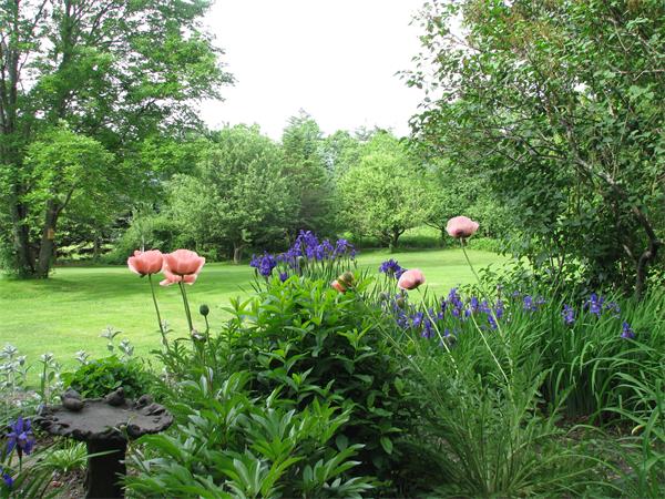 212 South Road Pepperell, MA 01463 - Photo 6 of 22 a view of a table and chairs in the garden