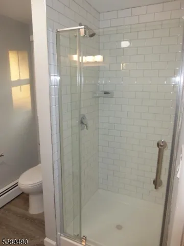 a bathroom with a shower and a toilet